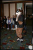 [Armadillos MFF2006 055]