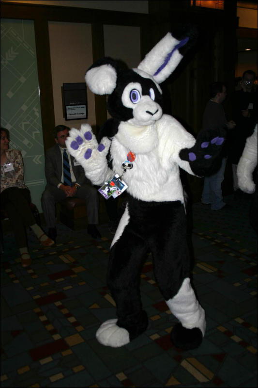 [Armadillos_MFF2006_058.jpg]