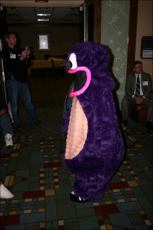 [Armadillos_MFF2006_059.jpg]