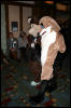 [Armadillos MFF2006 060]