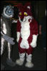 [Armadillos MFF2006 068]