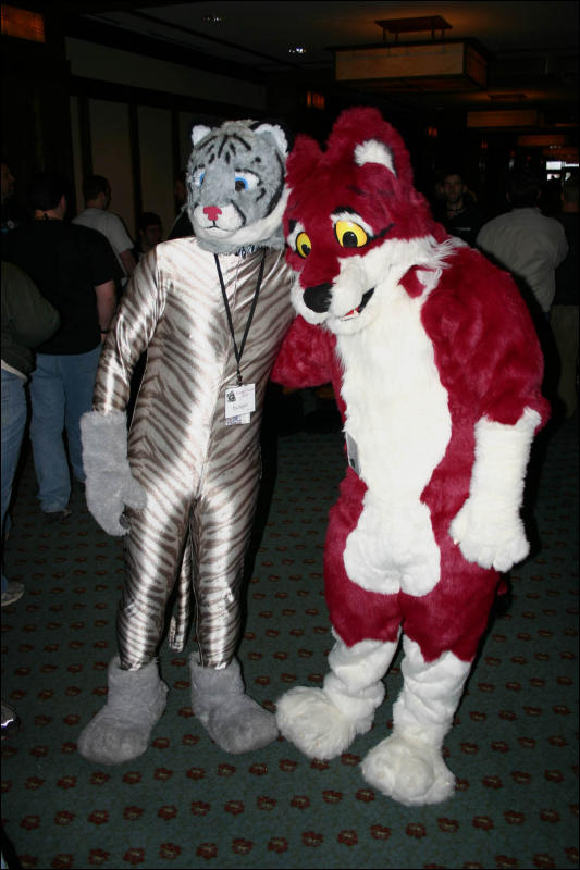 [Armadillos_MFF2006_069.jpg]