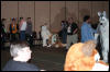 [Armadillos MFF2006 072]