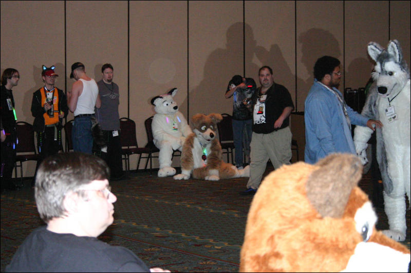 [Armadillos_MFF2006_072.jpg]