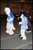 [Armadillos MFF2006 074]