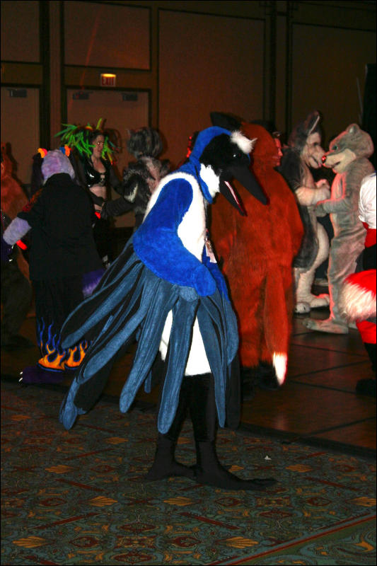 [Armadillos_MFF2006_076.jpg]