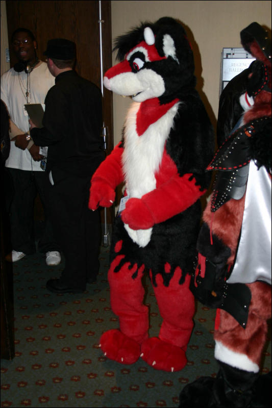 [Armadillos_MFF2006_081.jpg]