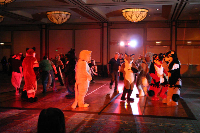 [Armadillos_MFF2006_084.jpg]