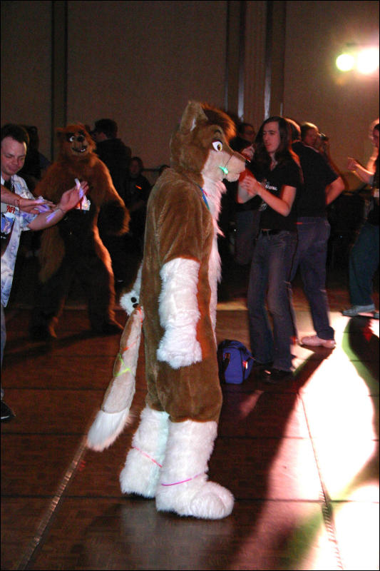 [Armadillos_MFF2006_087.jpg]