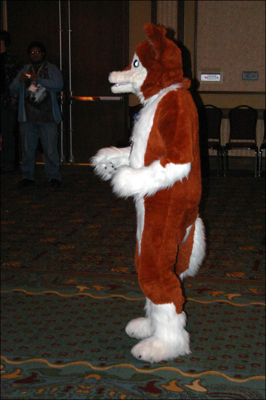 [Armadillos_MFF2006_088.jpg]