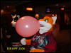 [BJButtons MFF2006 063]