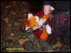 [BJButtons MFF2006 067]