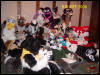 [BJButtons MFF2006 098]