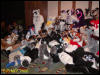 [BJButtons MFF2006 100]