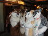 [Coy MFF2006 001]