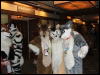 [Coy MFF2006 003]