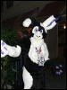 [Coy MFF2006 008]