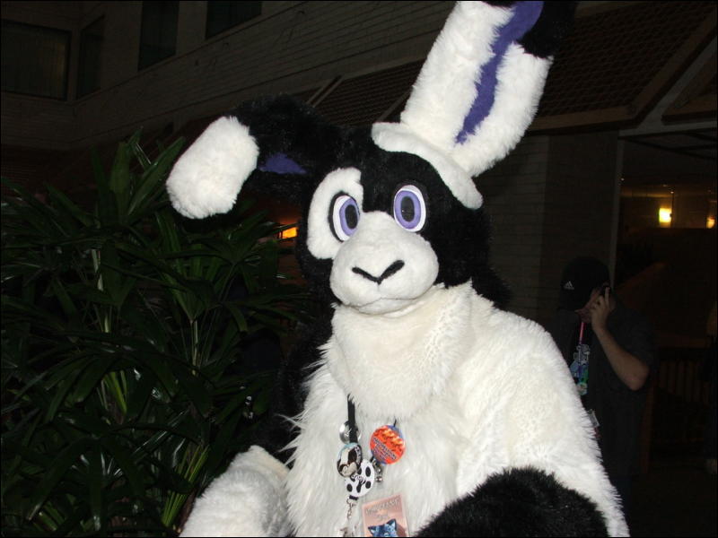 [Coy_MFF2006_009.jpg]