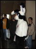 [Coy MFF2006 014]