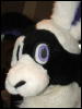 [Coy MFF2006 015]