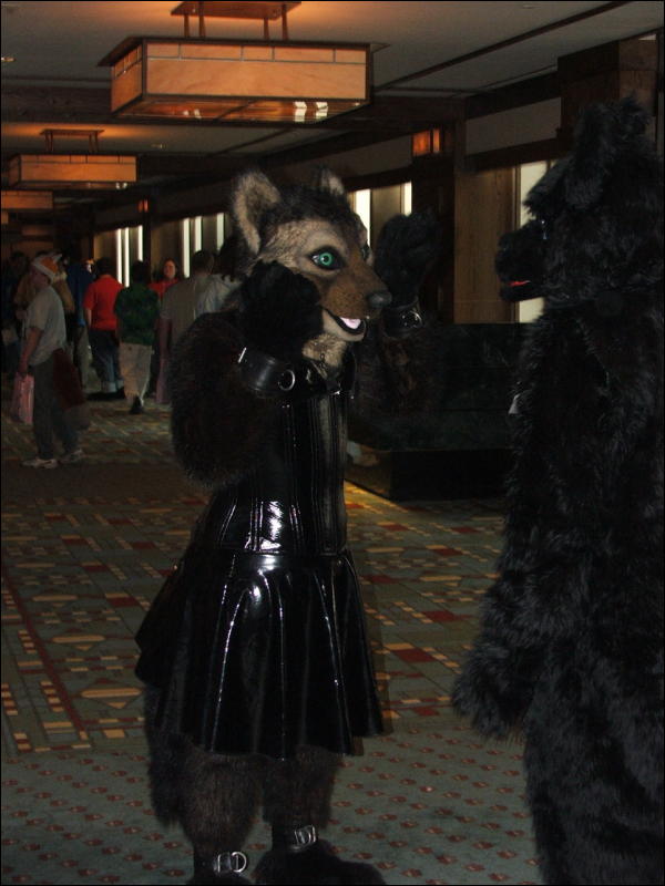 [Coy_MFF2006_017.jpg]