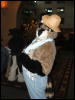 [Coy MFF2006 020]