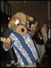 [Coy MFF2006 021]