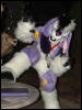 [Coy MFF2006 034]