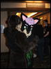 [Coy MFF2006 039]