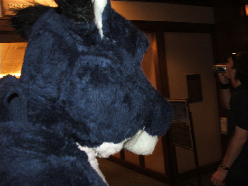 [Coy_MFF2006_040.jpg]