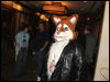 [Coy MFF2006 041]