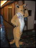 [Coy MFF2006 044]