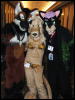 [Coy MFF2006 045]