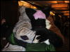 [Coy MFF2006 047]