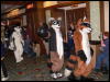 [Devoss MFF2006 091]