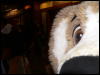 [Devoss MFF2006 094]