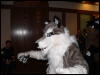 [Devoss MFF2006 107]