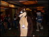 [Devoss MFF2006 112]