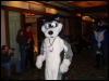 [Devoss MFF2006 135]