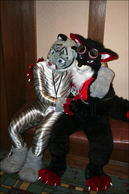 [DexCat_MFF2006_001.jpg]