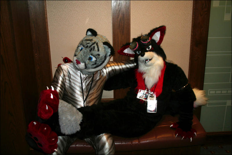 [DexCat_MFF2006_002.jpg]