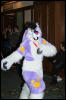 [DexCat MFF2006 004]