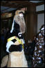 [DexCat MFF2006 005]