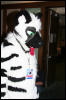 [DexCat MFF2006 007]