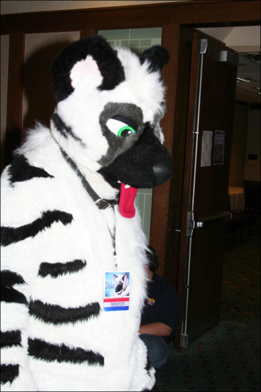 [DexCat_MFF2006_007.jpg]