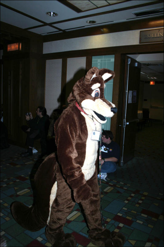 [DexCat_MFF2006_008.jpg]