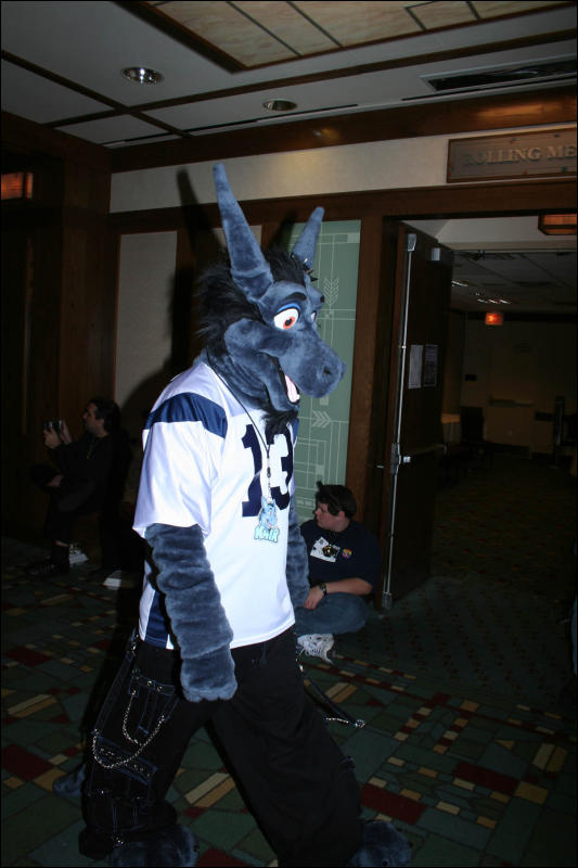 [DexCat_MFF2006_010.jpg]