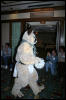 [DexCat MFF2006 012]