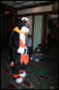 [DexCat MFF2006 016]