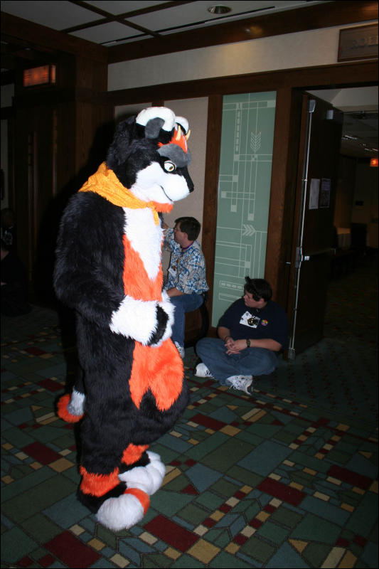 [DexCat_MFF2006_016.jpg]